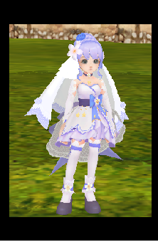 Wedding Nitro Set (F) (skin)
